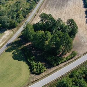 Photo #31 of Off Dew RD, Temperance Hill, SC 17.3 acres