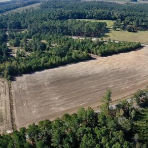 Photo #34 of Off Dew RD, Temperance Hill, SC 17.3 acres