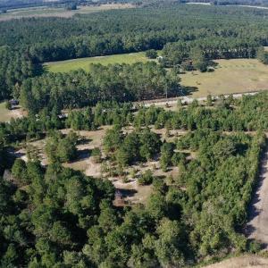 Photo #35 of Off Dew RD, Temperance Hill, SC 17.3 acres