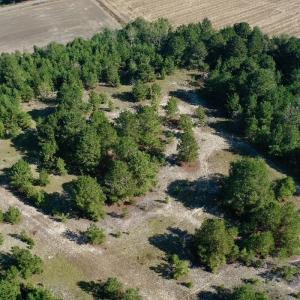 Photo #37 of Off Dew RD, Temperance Hill, SC 17.3 acres
