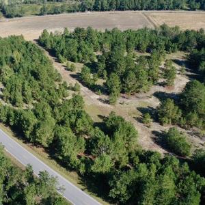 Photo #38 of Off Dew RD, Temperance Hill, SC 17.3 acres
