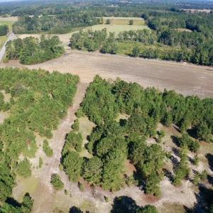 Photo #39 of Off Dew RD, Temperance Hill, SC 17.3 acres