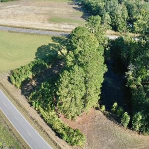 Photo #40 of Off Dew RD, Temperance Hill, SC 17.3 acres