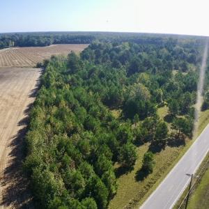 Photo #41 of Off Dew RD, Temperance Hill, SC 17.3 acres