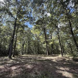 Photo #1 of 1945 Bolton Road, Rich Square, NC 90.3 acres