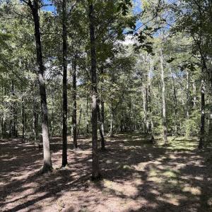 Photo #4 of 1945 Bolton Road, Rich Square, NC 90.3 acres