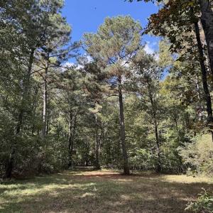 Photo #7 of 1945 Bolton Road, Rich Square, NC 90.3 acres