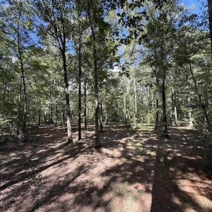 Photo #8 of 1945 Bolton Road, Rich Square, NC 90.3 acres