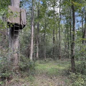 Photo #22 of 1945 Bolton Road, Rich Square, NC 90.3 acres