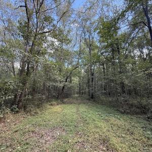 Photo #23 of 1945 Bolton Road, Rich Square, NC 90.3 acres