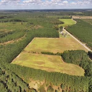 Photo #25 of 1945 Bolton Road, Rich Square, NC 90.3 acres