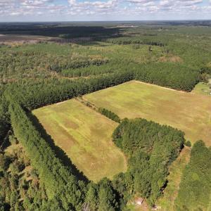 Photo #26 of 1945 Bolton Road, Rich Square, NC 90.3 acres