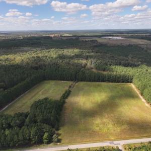 Photo #27 of 1945 Bolton Road, Rich Square, NC 90.3 acres