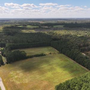 Photo #28 of 1945 Bolton Road, Rich Square, NC 90.3 acres