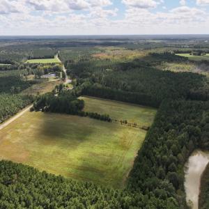 Photo #29 of 1945 Bolton Road, Rich Square, NC 90.3 acres