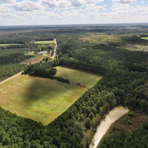 Photo #30 of 1945 Bolton Road, Rich Square, NC 90.3 acres
