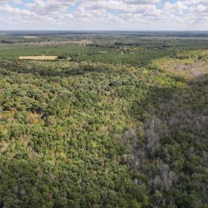 Photo #35 of 1945 Bolton Road, Rich Square, NC 90.3 acres