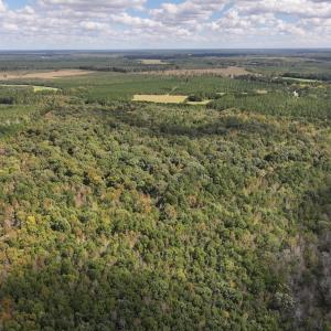 Photo #36 of 1945 Bolton Road, Rich Square, NC 90.3 acres