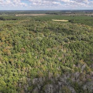 Photo #37 of 1945 Bolton Road, Rich Square, NC 90.3 acres