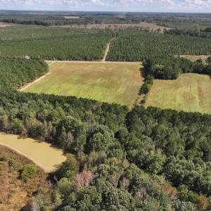 Photo #41 of 1945 Bolton Road, Rich Square, NC 90.3 acres