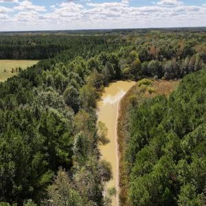 Photo #42 of 1945 Bolton Road, Rich Square, NC 90.3 acres
