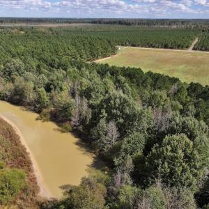Photo #43 of 1945 Bolton Road, Rich Square, NC 90.3 acres