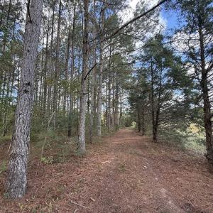 Photo #44 of 1945 Bolton Road, Rich Square, NC 90.3 acres