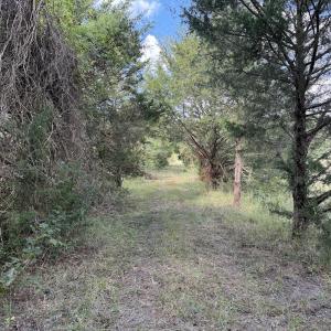 Photo #47 of 1945 Bolton Road, Rich Square, NC 90.3 acres