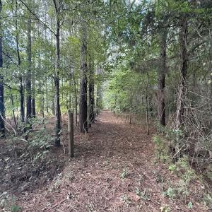Photo #49 of 1945 Bolton Road, Rich Square, NC 90.3 acres
