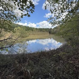 Photo #50 of 1945 Bolton Road, Rich Square, NC 90.3 acres