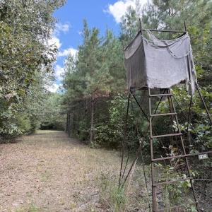Photo #52 of 1945 Bolton Road, Rich Square, NC 90.3 acres