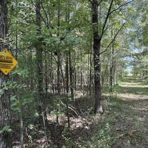 Photo #53 of 1945 Bolton Road, Rich Square, NC 90.3 acres
