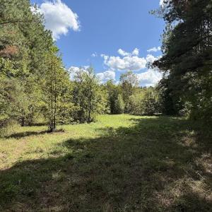 Photo #54 of 1945 Bolton Road, Rich Square, NC 90.3 acres
