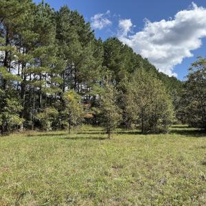 Photo #55 of 1945 Bolton Road, Rich Square, NC 90.3 acres