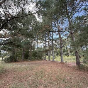 Photo #57 of 1945 Bolton Road, Rich Square, NC 90.3 acres