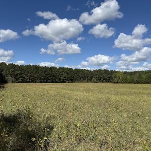 Photo #58 of 1945 Bolton Road, Rich Square, NC 90.3 acres