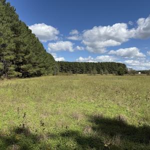 Photo #60 of 1945 Bolton Road, Rich Square, NC 90.3 acres
