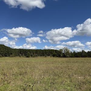 Photo #61 of 1945 Bolton Road, Rich Square, NC 90.3 acres