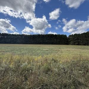 Photo #63 of 1945 Bolton Road, Rich Square, NC 90.3 acres