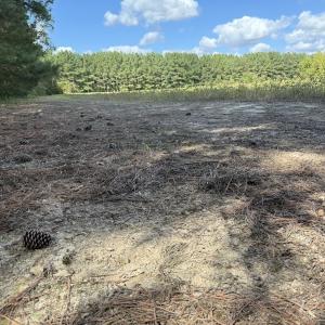 Photo #64 of 1945 Bolton Road, Rich Square, NC 90.3 acres