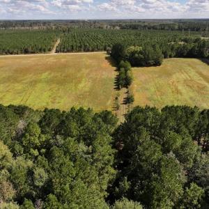 Photo #67 of 1945 Bolton Road, Rich Square, NC 90.3 acres