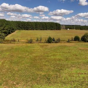 Photo #68 of 1945 Bolton Road, Rich Square, NC 90.3 acres