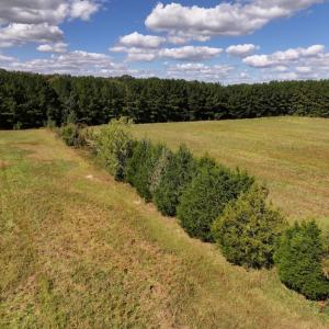 Photo #69 of 1945 Bolton Road, Rich Square, NC 90.3 acres