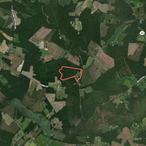 Photo #73 of 1945 Bolton Road, Rich Square, NC 90.3 acres