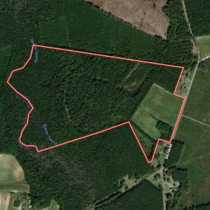Photo #74 of 1945 Bolton Road, Rich Square, NC 90.3 acres