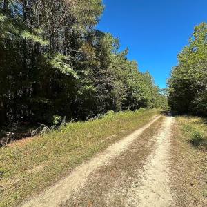 Photo #4 of Off Cypress Chapel Rd, Whaleyville, VA 45.5 acres