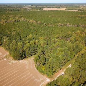Photo #12 of Off Cypress Chapel Rd, Whaleyville, VA 45.5 acres