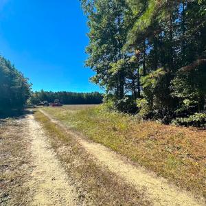 Photo #13 of Off Cypress Chapel Rd, Whaleyville, VA 45.5 acres