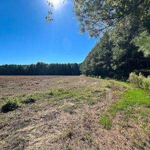 Photo #14 of Off Cypress Chapel Rd, Whaleyville, VA 45.5 acres