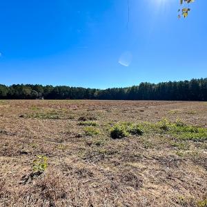 Photo #18 of Off Cypress Chapel Rd, Whaleyville, VA 45.5 acres